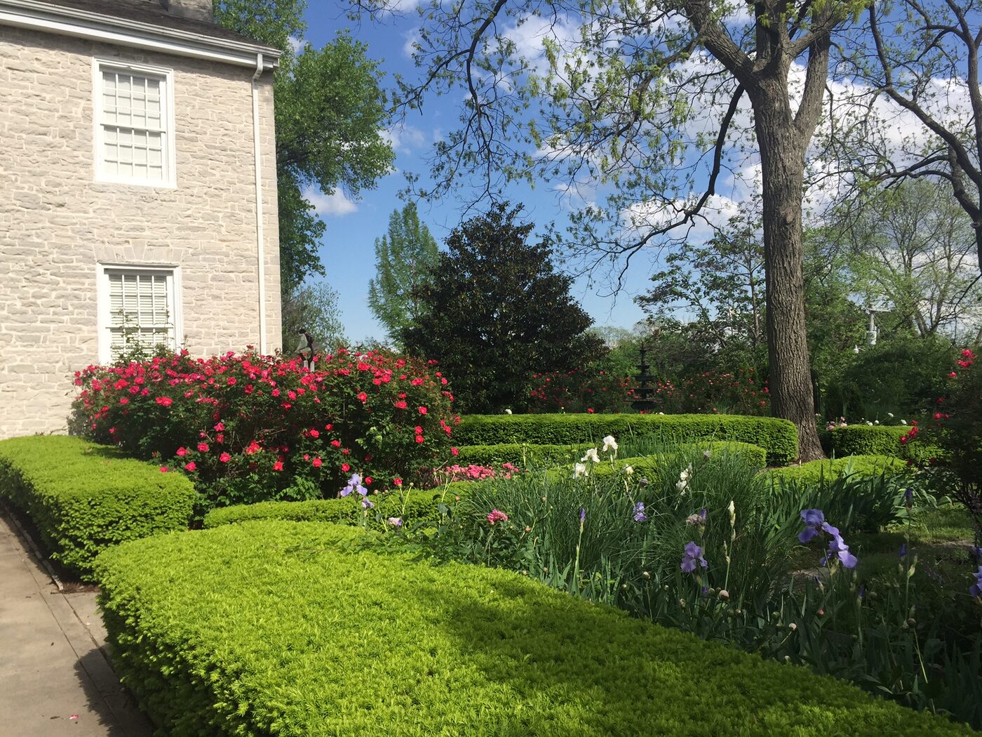 Formal boxwood parterres and iris beds beside the limestone wall of the Academy.